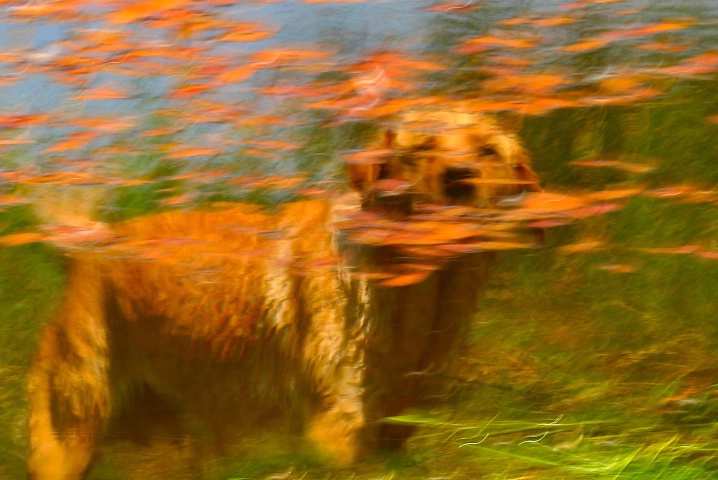 img7