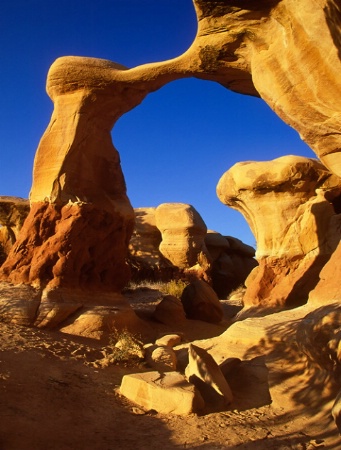 Metate Arch