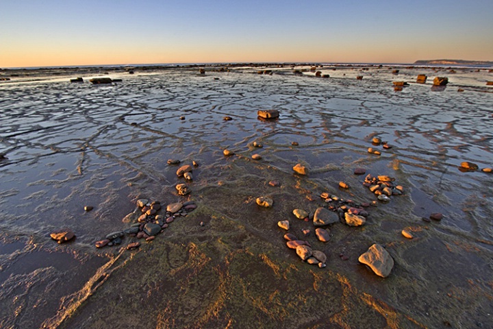 Long Reef Pattern