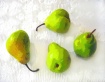 Green Pears on Te...