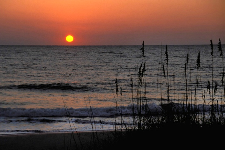Sunrise and sea oats - ID: 1055956 © Bob Peterson