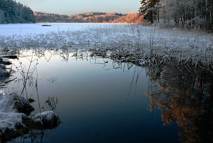 Winter scape in Sweden