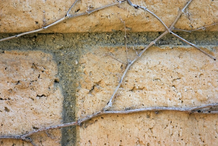 Bricks and Twigs