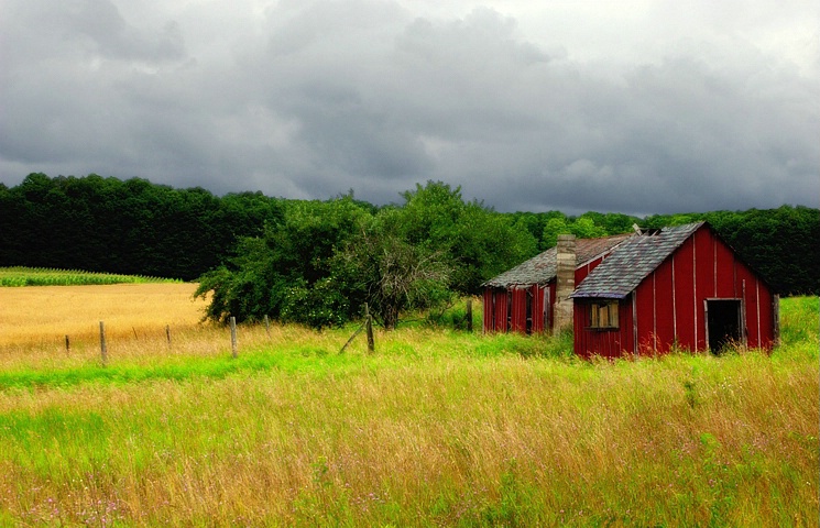 Stormy Summer Day
