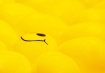 Yellow = Happy