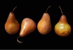 Standout Pears