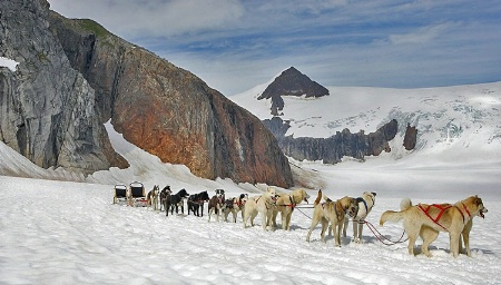 Glacier dog sled