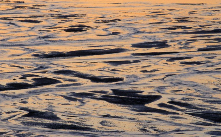 Shoreline at Daybreak - ID: 1072656 © John T. Sakai
