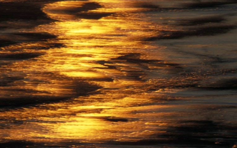 Shimmering Shoreline - ID: 1072658 © John T. Sakai