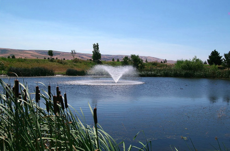 Second Fountain At Golf Course