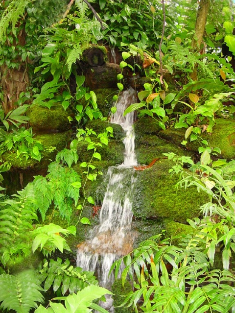 Waterfall & Foliage