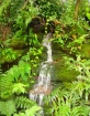 Waterfall & Folia...