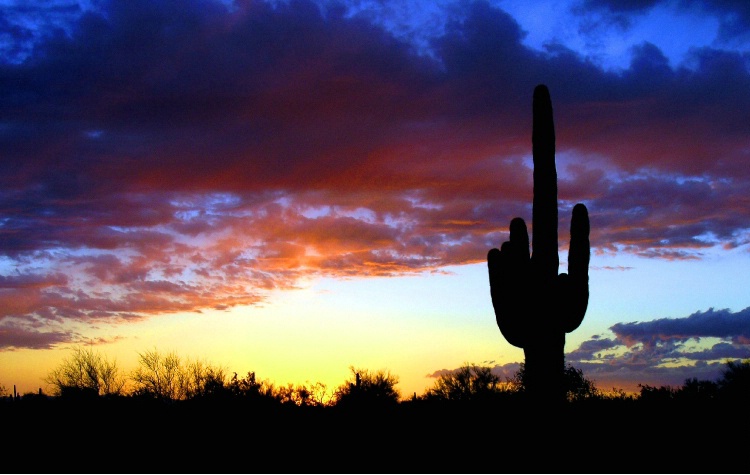Cloudy Cactus Sunset