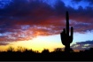 Cloudy Cactus Sun...