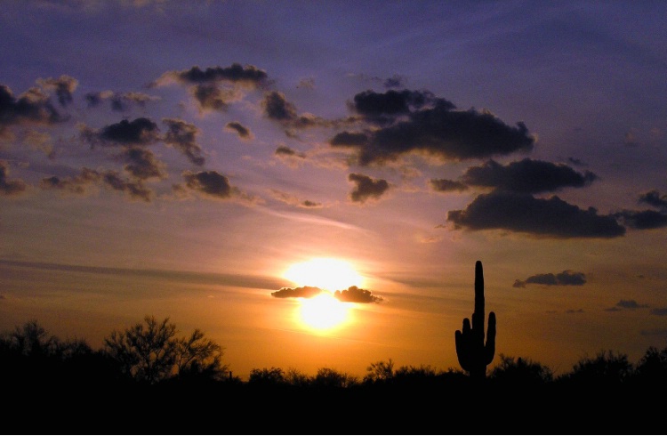 Sun Cloud Cactus Sunset