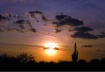 Sun Cloud Cactus ...