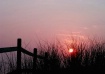 Early To Rise