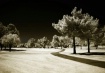 Infrared Path