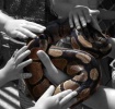 Lay Your Hands On...