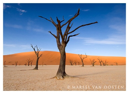 Deadvlei