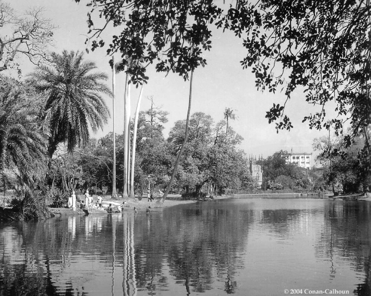 Calcutta Bay - ID: 1093468 © Candice C. Calhoun