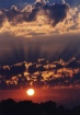 suns rays