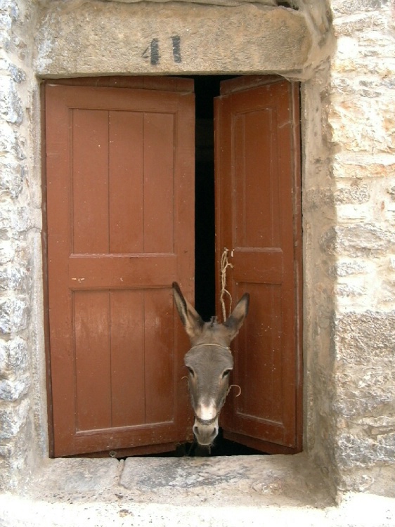 Doorkeeper