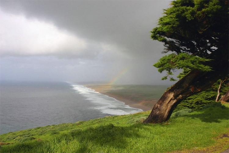 Point Reyes State Park