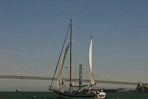 Sailing to the Bay Bridge