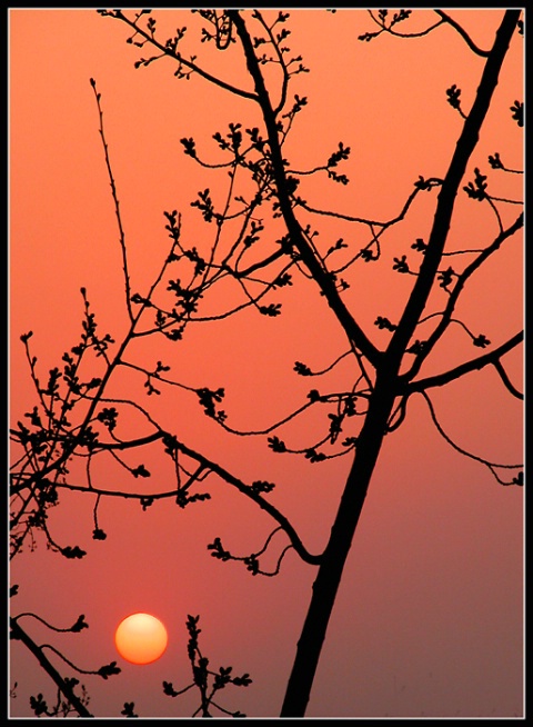 spring sunset
