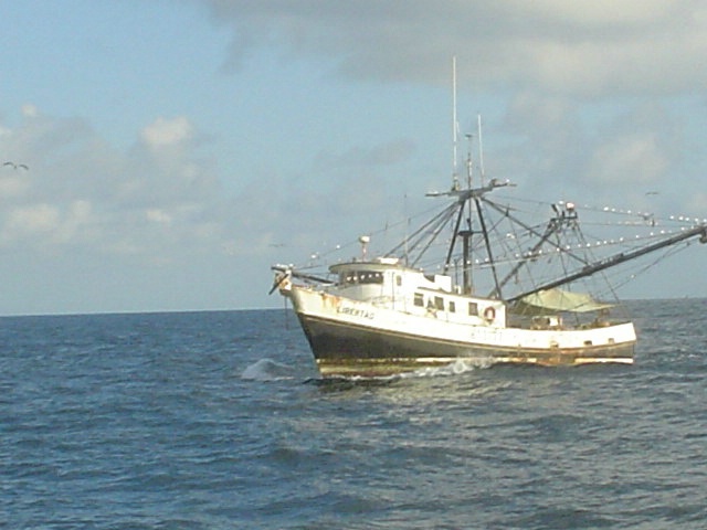 Shrimpers at Sea