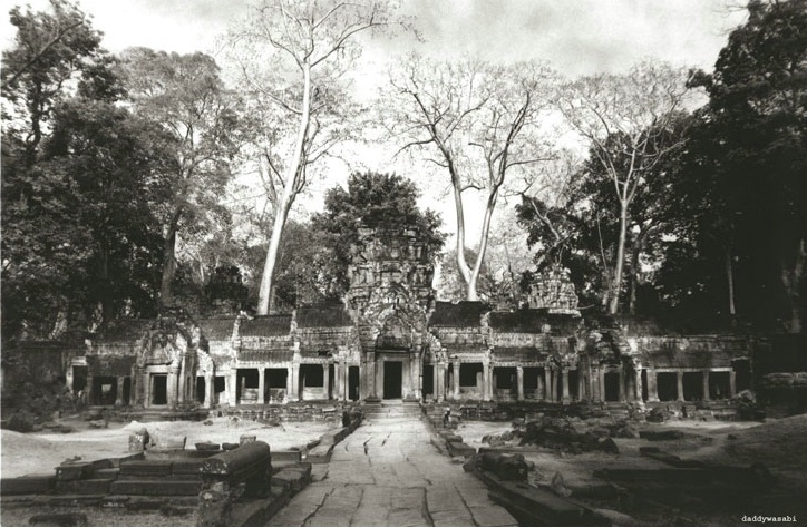 Ta Phrom in late afternoon