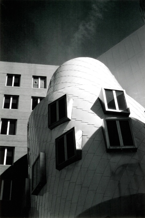 Gehry's Lines