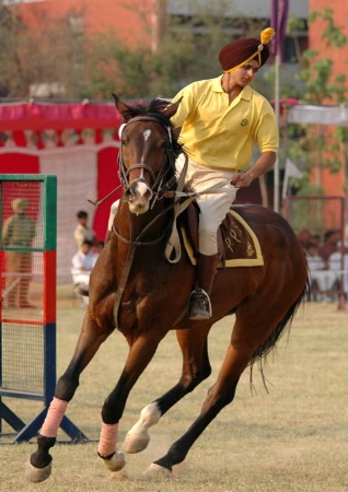 The Young Rider