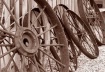 Wheels Of Time