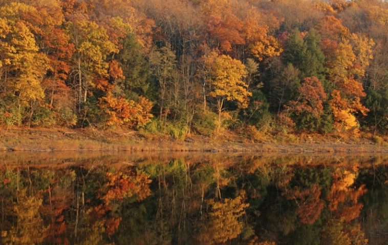 Delaware Reflections II - ID: 1135323 © Nora Odendahl