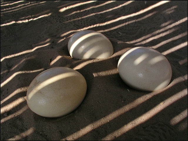 img20