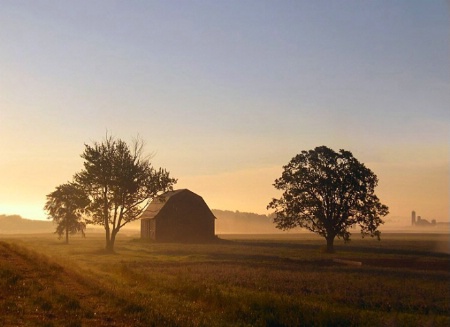 foggy morning barn