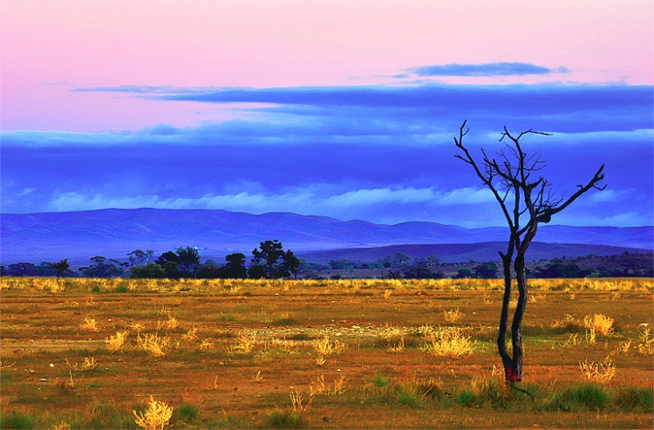 Fliders Ranges South Australia