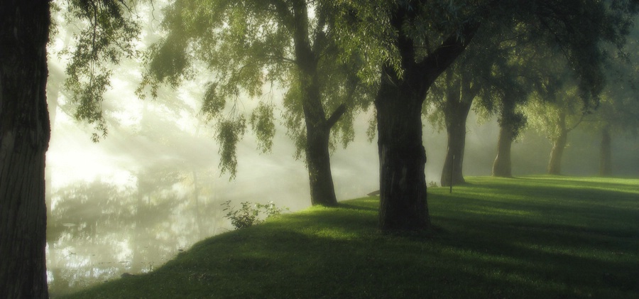 morning at river