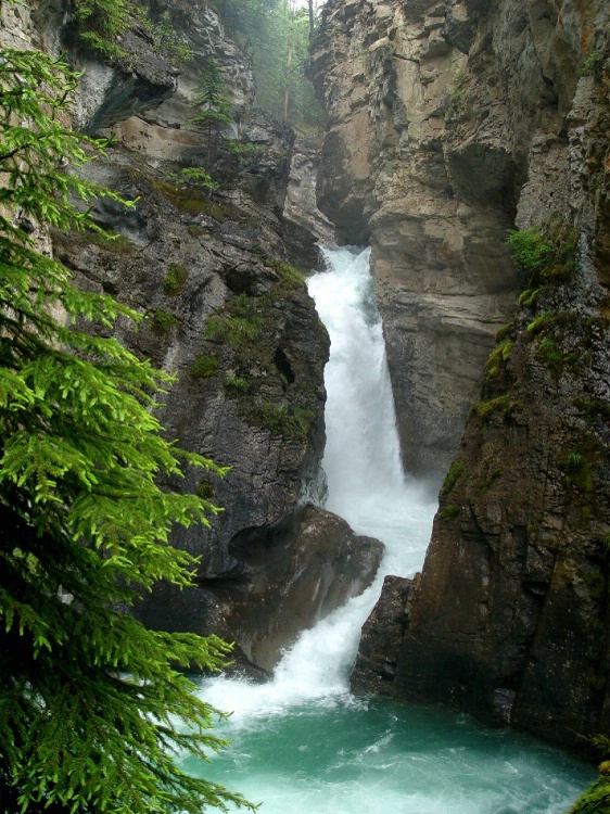 Johnston Falls, Banff, Canada - ID: 1149168 © Lynn Andrews