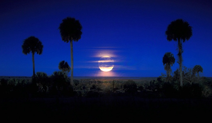 Moonrise Over Orange Lake