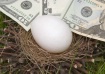 Security Nest Egg
