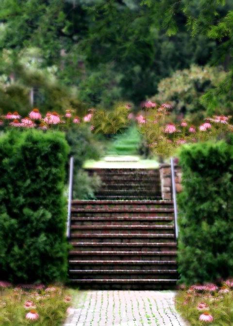 Garden Steps