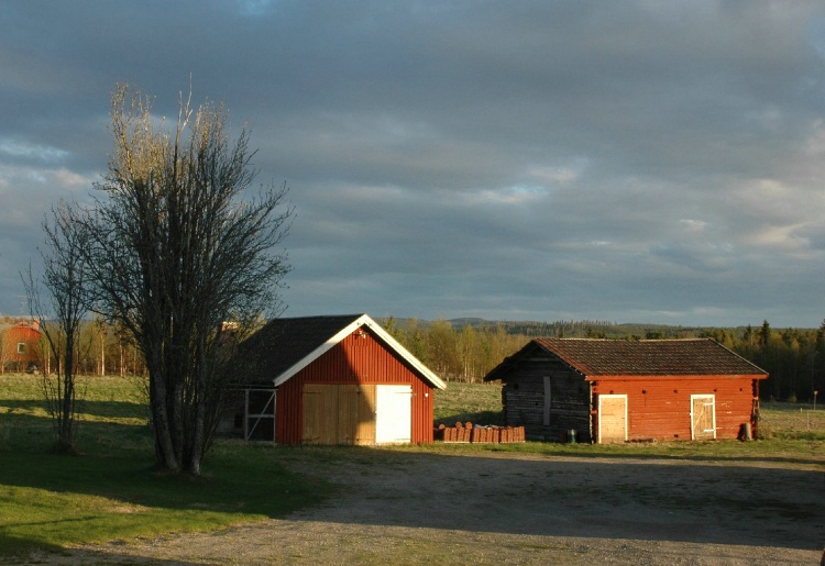 Midnight Sun in Sweden