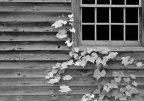September 2005 Photo Contest 2nd Place Prize Winner