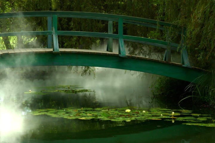 Mist at Monet's Garden