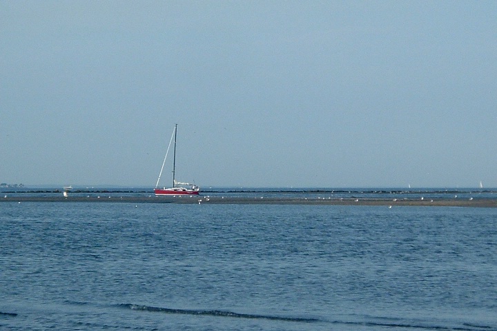 red sail boat