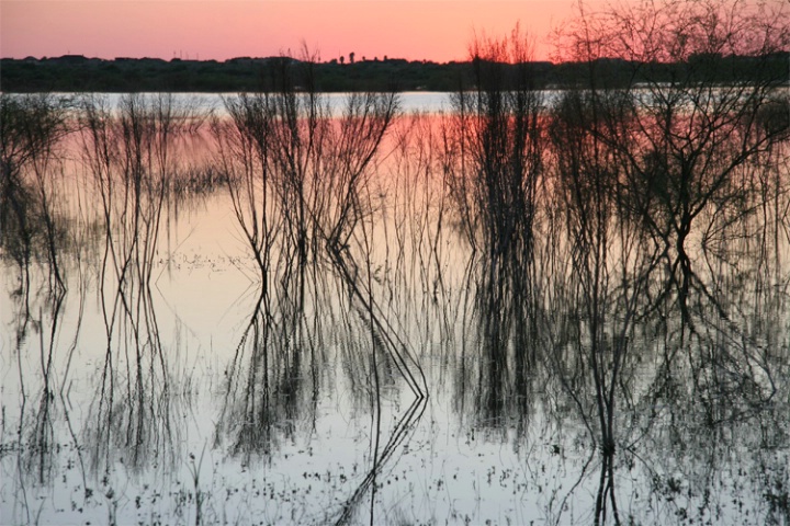 Time for Reflection - ID: 1174922 © Emile Abbott