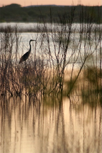 Tranquility - ID: 1174933 © Emile Abbott